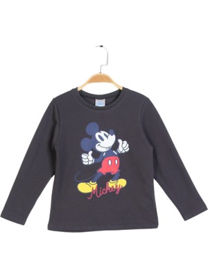 Mickey Mouse Panolino Erkek Çocuk Uzun Kol Tshırt PL22496