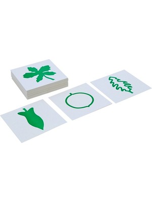 Balatoyz Montessori Yaprak Kartları Kabin Çalışma Kartları