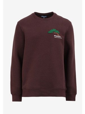 Discovery Expedition Kahve Erkek Sweatshirt Uzun Kol Relaxed Fit Nakışlı D4WM-SWT3276