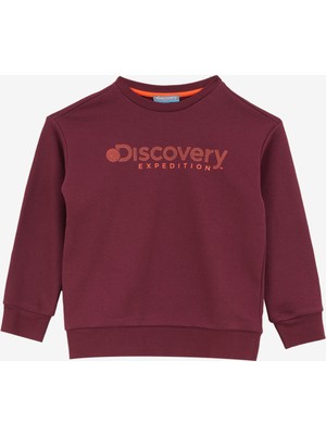 Discovery Expedition Baskılı Erkek Mürdüm Sweatshırt D4WBSWT3138