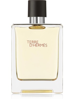 Hermes Terre De Hermes Eau Gırve Edp 100 ml