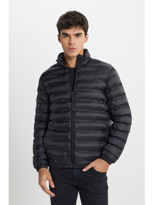 Lee Regular Fit Normal Kesim Dik Yaka Fermuarlı Gri Bej Şişme Mont