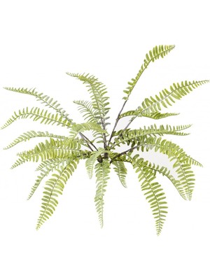 Tekno Trust Yapay Fujer (Aşk Merdiveni) 50 cm