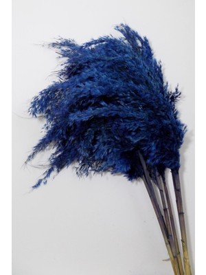 Tekno Trust Mavi Pampas 7 Adet 120 cm