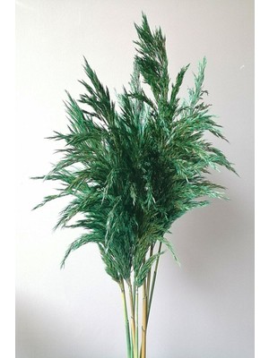 Tekno Trust Büyük Demet Pampas Zümrüt Yeşil 100CM Boyunda 8'li