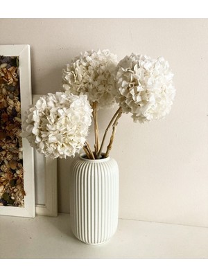 Tekno Trust Şoklanmış Ortanca Çiçek Beyaz-Ekru Rengi (1 Kafa)