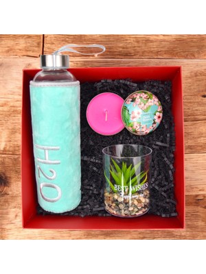 Peluş Matara 600 Ml Sukulent ve Kokulu Mum ile Şık Tasarım Evinize Değer Katar