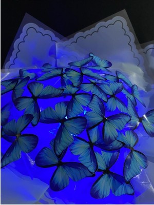Tekno Trust LED Işıklı Kelebek Buketi