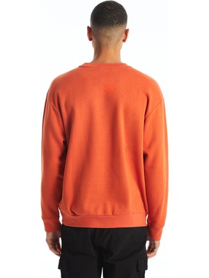 Lcw Casual  Bisiklet Yaka Uzun Kollu Baskılı Erkek Sweatshirt