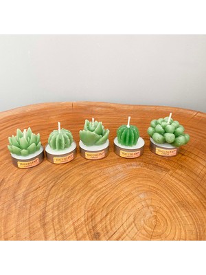 Gia Design 5'li Dekoratif Succulent Tealight Kokulu Mum Seti