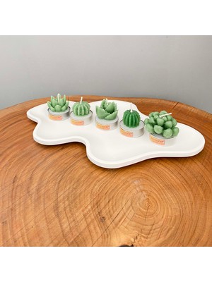 Gia Design 5'li Dekoratif Succulent Tealight Kokulu Mum ve Asimetrik Dekoratif Tabak  Aksesuar Seti