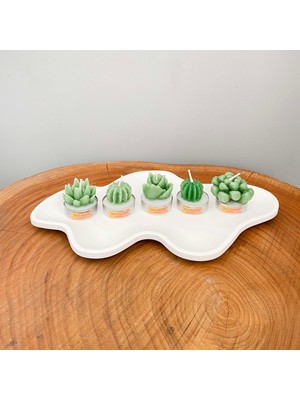 Gia Design 5'li Dekoratif Succulent Tealight Kokulu Mum ve Asimetrik Dekoratif Tabak  Aksesuar Seti