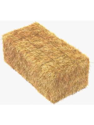 Tekno Trust Cadılar Bayramı Saman Balyası Dekor Süs 20-23 kg (Gerçek Saman)