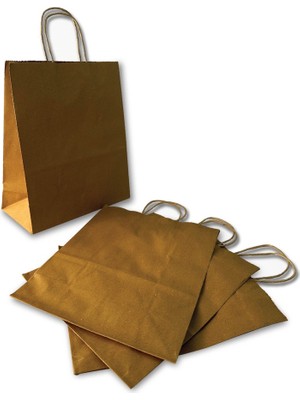 Burgu Saplı Karton Çanta 26x12x31