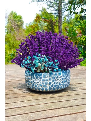 Tekno Trust Gül Saksıda Lavanta ve Cipso &  Lavanta Tasarımı & Dekoratif Kuru Çiçek Dekor & 16-18 cm