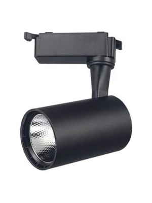 30W Ray Spot Siyah Kasa Günışığı