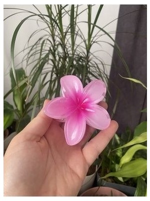 Lotus Toka Mandal Toka