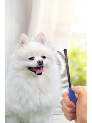 Kedi Köpek Için Bit Pire Tarağı Kedi Köpek Tüy Açıcı Tarak Kauçuk Sap Metal Dişli Tarak 1 Adet