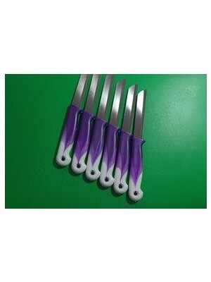 6 Parça Alman Orijinal Renkli Lazer Tırtıklı Meyve Sebze Mutfak Bıçağı Paslanmaz Çelik