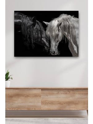 Tosbart Kanvas Siyah Beyaz At Dekoratif Duvar Tablosu
