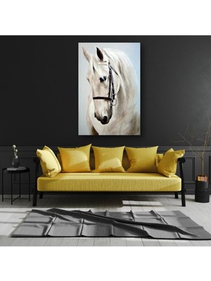 Tosbart Beyaz At Dekoratif Kanvas Tablo