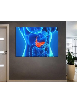 Tosbart Poliklinik Klinik Hastane Dekorasyonu Medikal Hastane Tabloları Hst-64