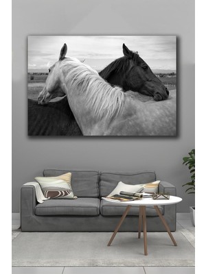 Tosbart Siyah Beyaz Çift At Dekoratif Kanvas Tablo