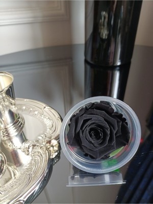 Tekno Trust Siyah Solmayan Ekvator Gülü