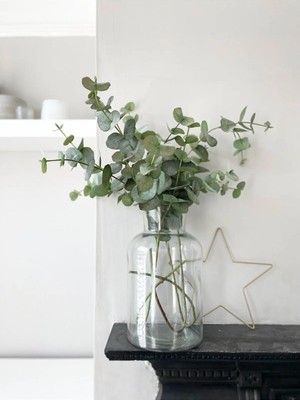 Tekno Trust Cansas Şoklanmış Okaliptus Demeti Kurutulmuş Okaliptus 5-6 Dal