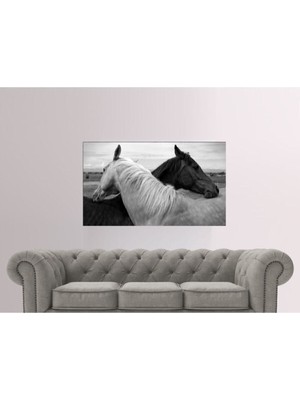 TosbArt 70 x 100 cm Siyah Beyaz At Temalı - Her Mekana Uygun Dekoratif Kanvas Tablo