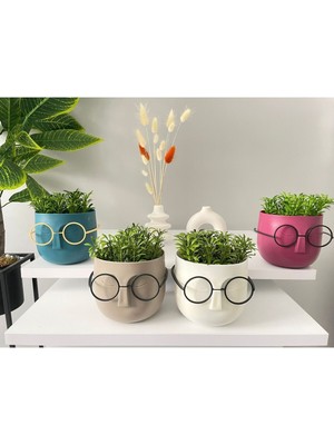 Tekno Trust Dekoratif 4 Adet Gözlüklü Profesör Çim Adam Yapay Çiçek Karışı Renk