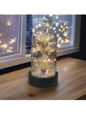 Tekno trust sevgililer ve anneler gününe özel, özel harfli dekoratif solmayan sonsuzluk gülü ışıklı fanusta gül