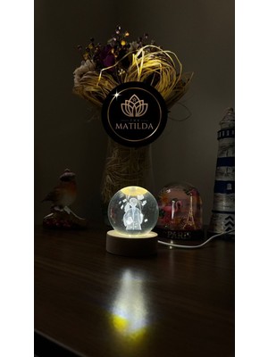 Tekno trust harry potter figürlü dekoratif ahşap altlıklı ışıklı usb'li cam küre