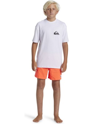 Quıksılver Everyday Surf Tee Ss Youth Erkek Çocuk T-Shirt AQBWR03067-QK.10