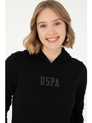 Aydınlı 1939176 Polo Sweat