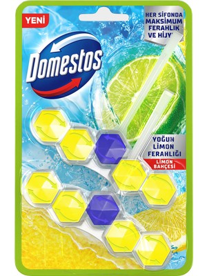 Domestos Tuvalet Bloğu Limon Bahçesi 100 G