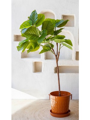 Reyo Ficus Umbellata Yapay Ağaç Gerçek Dokulu Yeşil 150 Cm