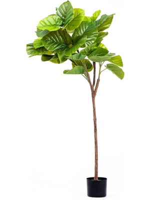 Reyo Ficus Umbellata Yapay Ağaç Gerçek Dokulu Yeşil 150 Cm