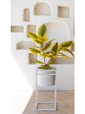 Reyo Ficus Altissima Gerçek Dokulu Yapay Ağaçı Sarı Yeşil 90 Cm