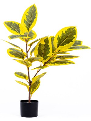 Reyo Ficus Altissima Gerçek Dokulu Yapay Ağaçı Sarı Yeşil 90 Cm