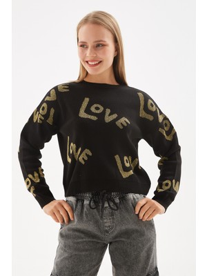 Fashion Friends Regular Fit Sıfır Yaka Simli Kazak Kadın Kazak 24K0261K1