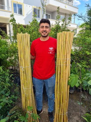 Çermik Fidancılık Bambu Fidan Bitki Destek Çubuğu 40 Adet 2 Metre Boy