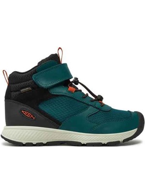 Keen Skua Wp Kadın Bot