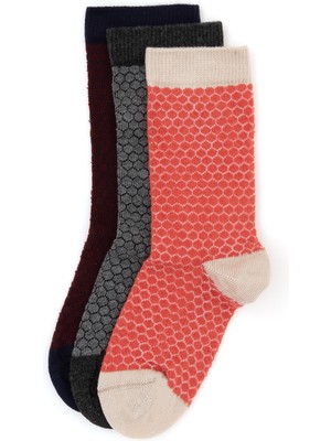 U.S. Polo Assn. Erkek Çocuk Lacivert Çorap 50295784-VR033