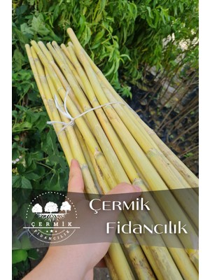Çermik Fidancılık 1,5 Metre Fidan Bitki Destek Çubuğu Bambu 30 Adet