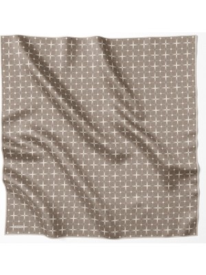 Armine Ipek Eşarp 2025 Kış - 9207-31 Twill