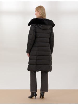 Pierre Cardin Kadın Siyah Kapüşonlu Mont 50257777-VR046