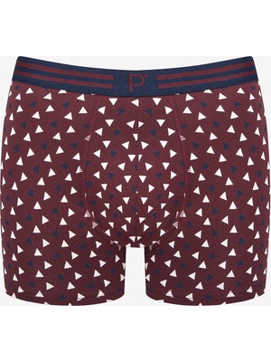 Penti Pointed 3lü Çok Renkli Boxer