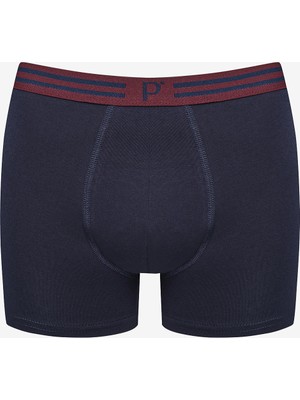 Penti Pointed 3lü Çok Renkli Boxer