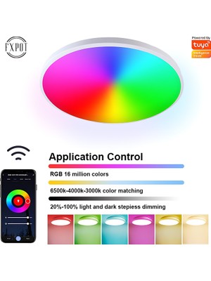 Samuel Nugent Akıllı Wifi Uzaktan Kumandalı Tavan Lambası (Yurt Dışından)